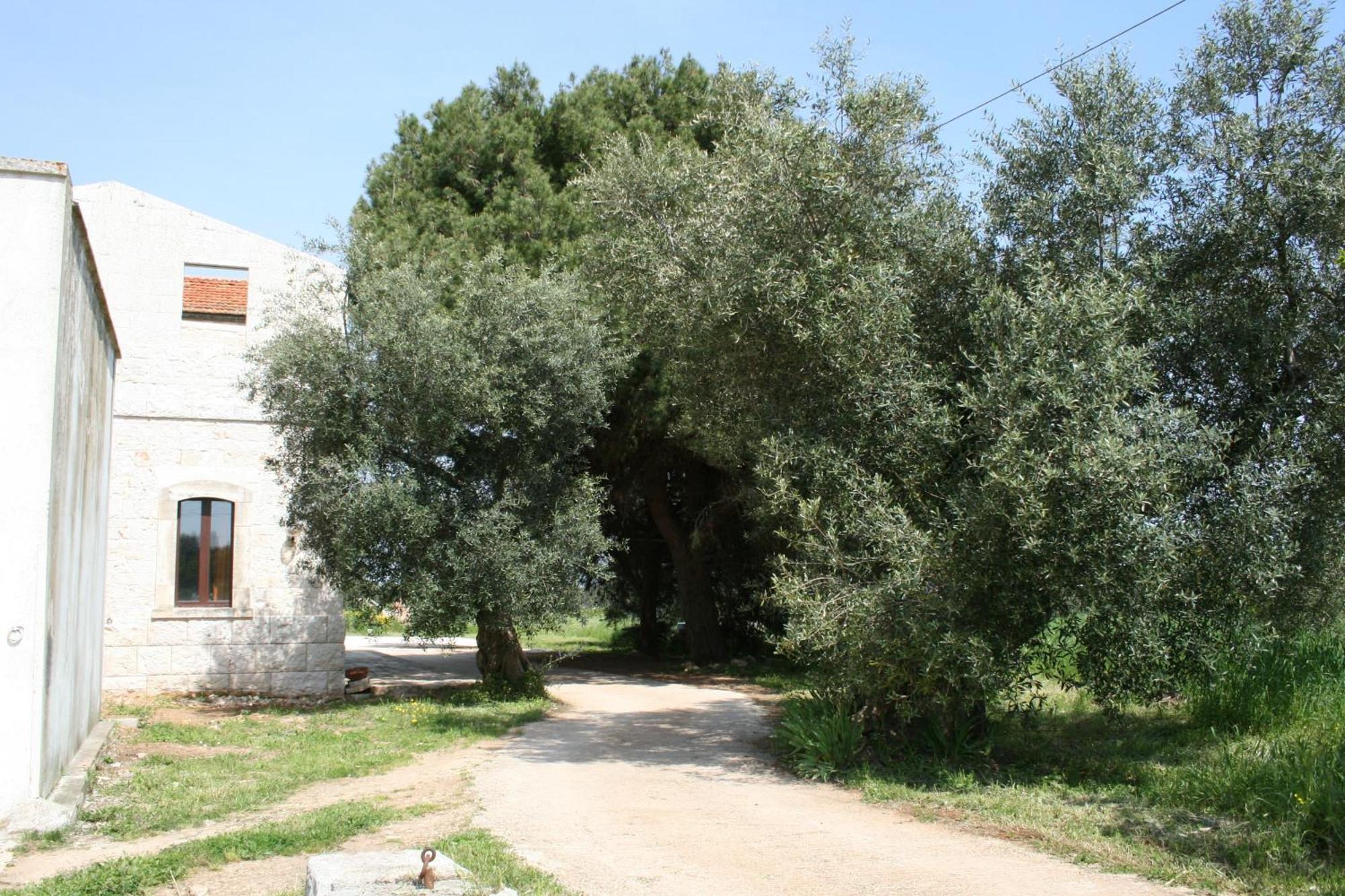 Séjour à la campagne Masseria La Luna Nel Pozzo *